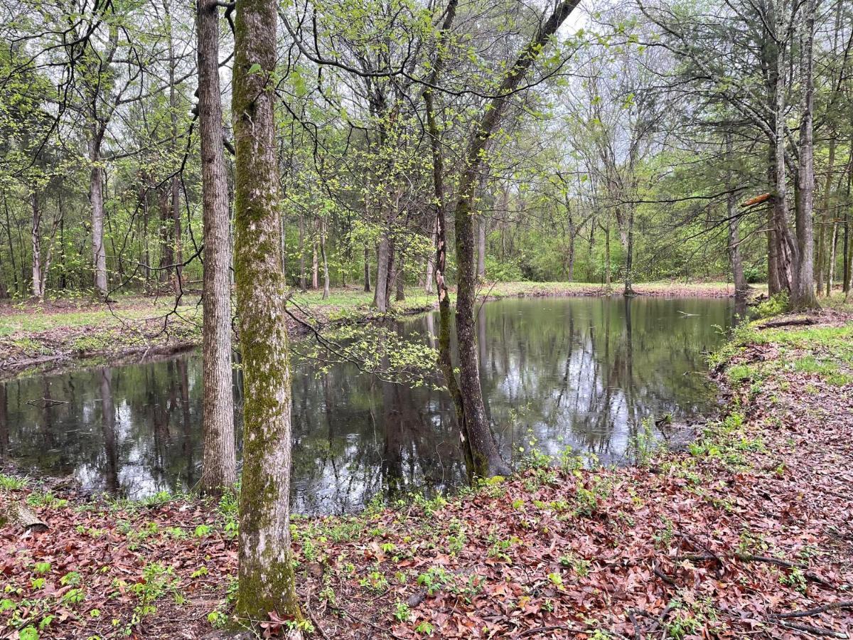 Charming Tiny Home! Close To Oxford, Sardis Lake, Safari Animal Zoo Buitenkant foto